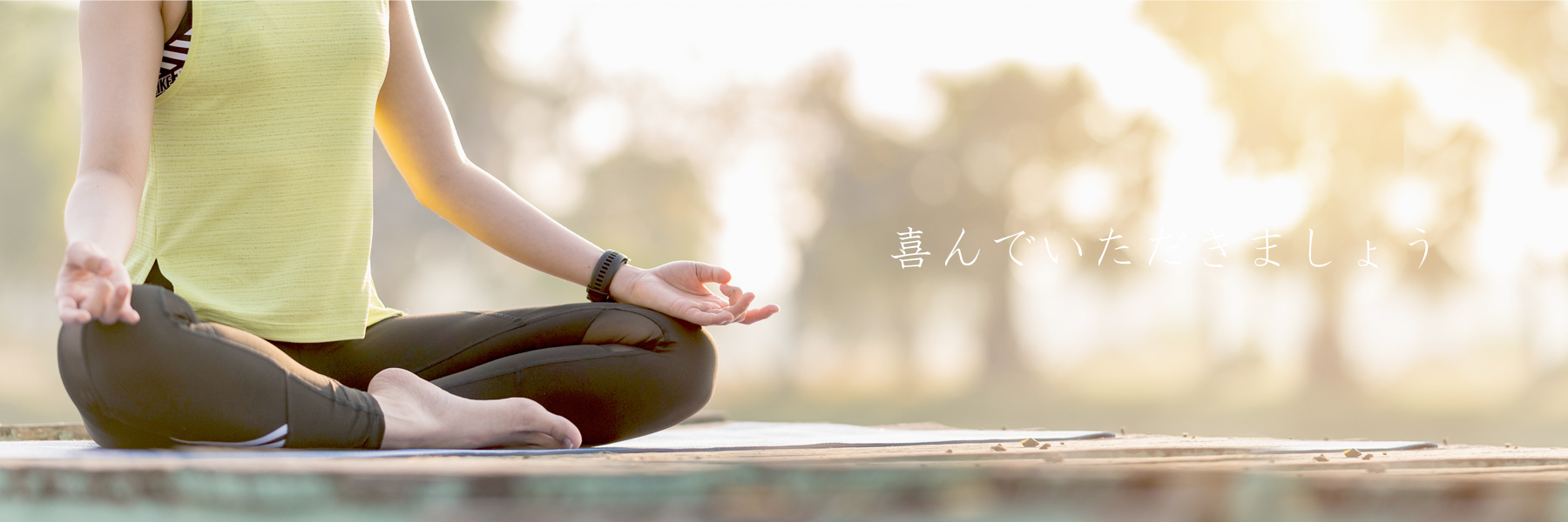 人間活動に専念しますトップ